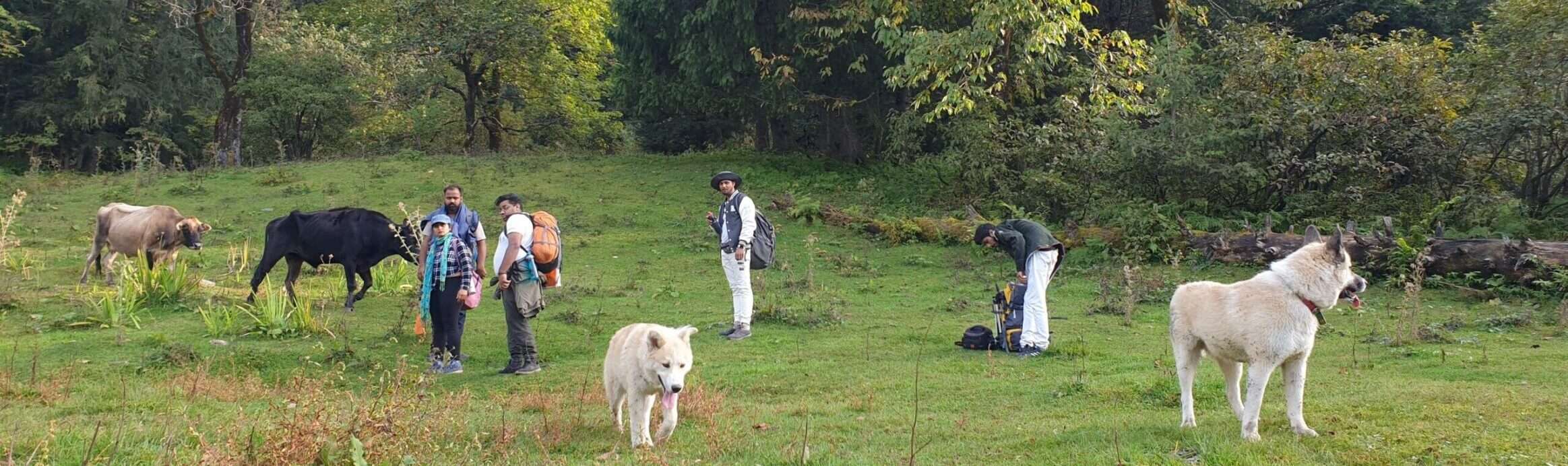 mountain of the broken lake