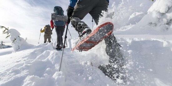 people snowshoeing in the hampta valley