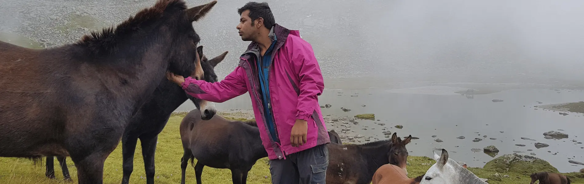 hiker petting a wildhorse on hikers in the forest on the mountain of the broken lake trek with YoloO Life
