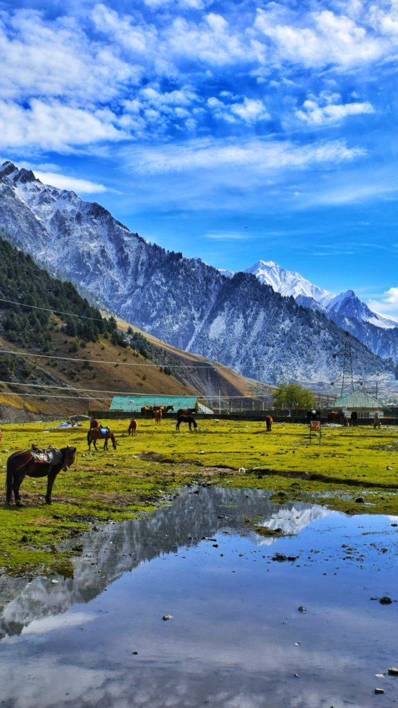 experiential tours of kashmir experiential tours of kashmir
