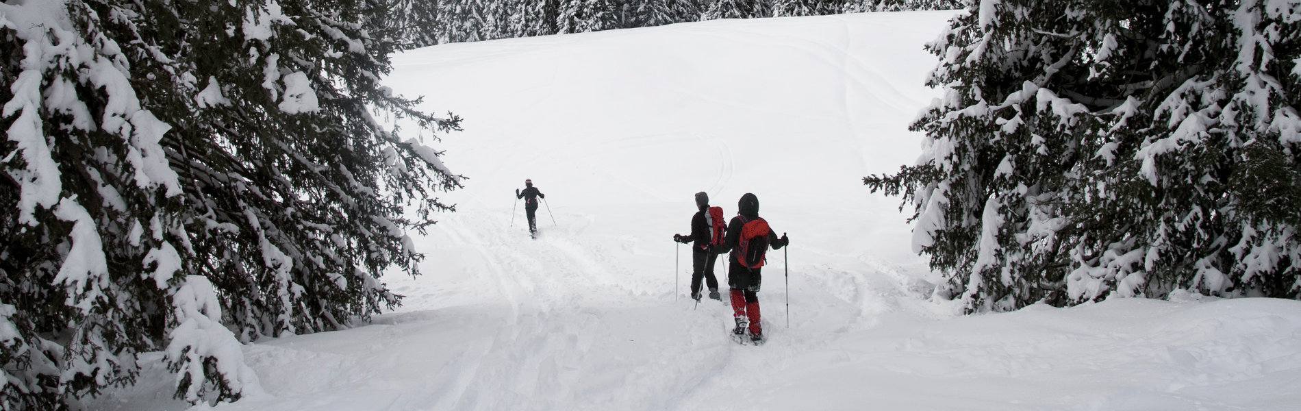 people snowshoe hiking in snow