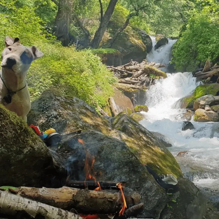 a stream in VanVaas, Soil village near Manali, HP