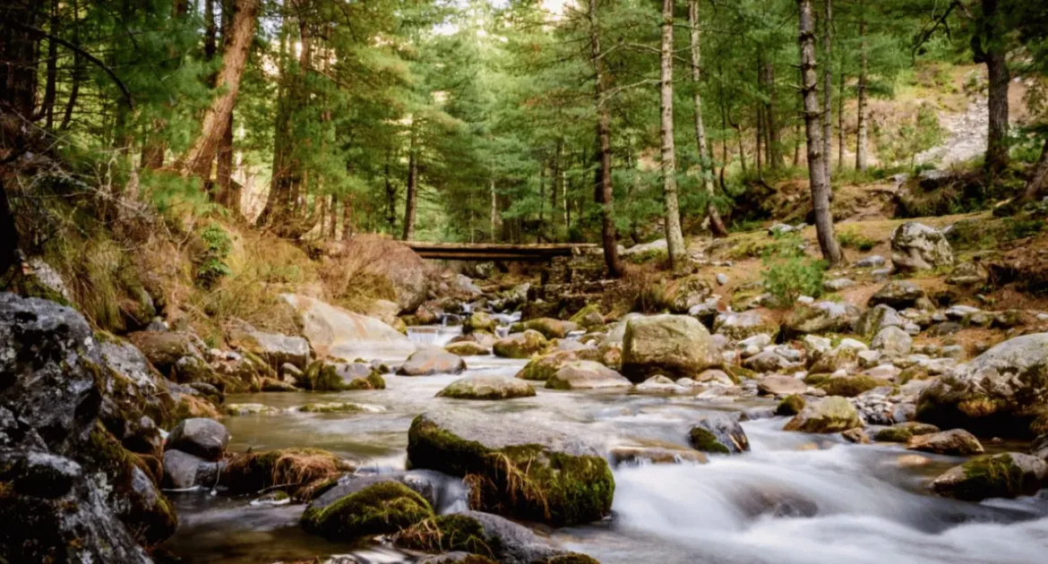 a gushing stream in VanVaas, Soyal Village, Manali