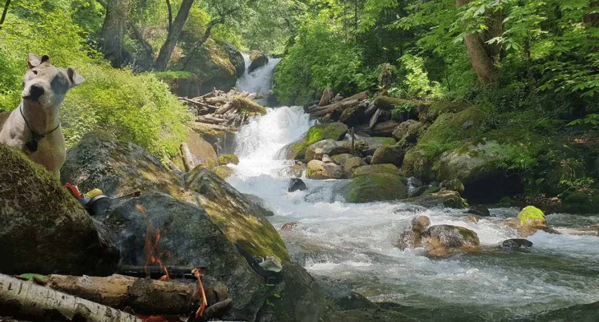 gushing stream in vanvaas, soil (Soyal) village, manali